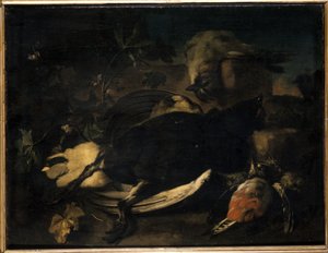 Død fugl