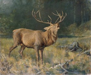 Brun hjort av Franz Xaver von Pausinger
