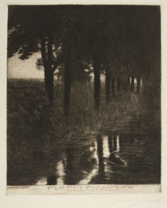 Ørretdam