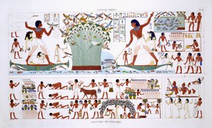 Preparing food for Dead, fra en sjelden registrering av fresker fra Theben, registrert 1819-1822 på sitt andre besøk i Egypt av Frederic Cailliaud (1787-1869), farge litho