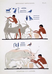 Veterinærarbeid, fra en sjelden oversikt over fresker fra Theben, registrert 1819-1822 på sitt andre besøk i Egypt av Frederic Cailliaud (1787-1869), farge litho