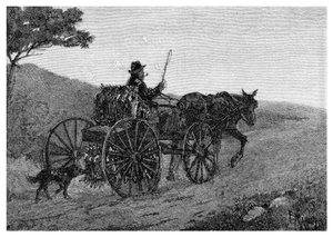 En Colac-kaninfanger, 1886.