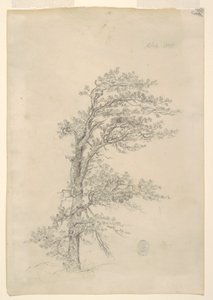 En Pitch Pine av Frederic Edwin Church