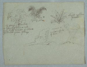 Bambus, vinranke og en ung palme, plante og to scener med regn som faller fra skyer over rygger, Rio Magdalena, Colombia av Frederic Edwin Church