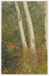 av Frederic Edwin Church