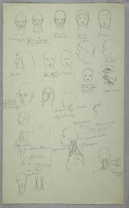 Tegning, anatomiske studier, 1865–70 av Frederic Edwin Church