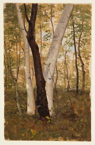  av Frederic Edwin Church