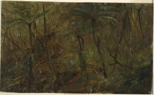 Tegning, i skogene på Jamaica, Vestindia, 1865 av Frederic Edwin Church