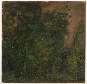Tegning, Jungelvegetasjon, 1865 av Frederic Edwin Church
