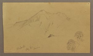 Tegning, landskap, planter, Bloxburgh, august 1865 av Frederic Edwin Church