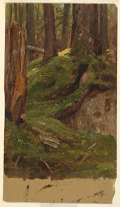 av Frederic Edwin Church