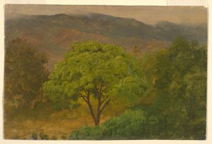  av Frederic Edwin Church