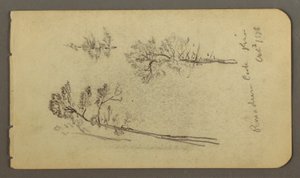 Tegning, furustudier, 1878 av Frederic Edwin Church