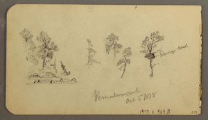 Tegning, furustudier, 1878 av Frederic Edwin Church