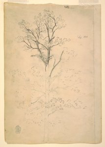 Tegning, tre, september 1844 av Frederic Edwin Church