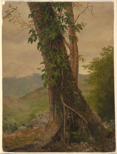  av Frederic Edwin Church