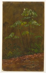  av Frederic Edwin Church