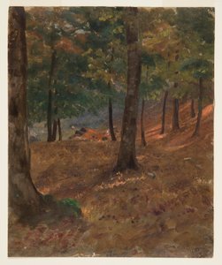  av Frederic Edwin Church