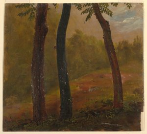  av Frederic Edwin Church