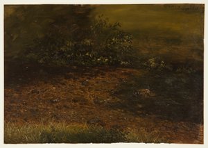  av Frederic Edwin Church
