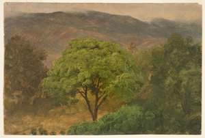Genip Tree i fjellene, Jamaica av Frederic Edwin Church