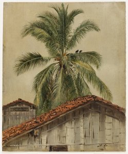 Palmer og hustak, Ecuador av Frederic Edwin Church