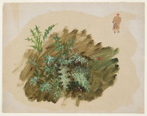 Plantestudier av Frederic Edwin Church