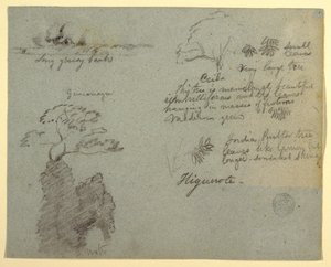 Elvebredden og botaniske skisser fra Higuerote, Ecuador av Frederic Edwin Church