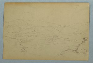 Skisser av planter og av en del av balustraden som grenser til terrassen på vertshuset i Guaranda, Ecuador av Frederic Edwin Church