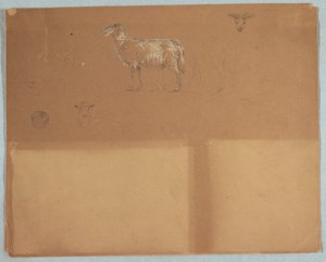 Studier av sauer, Ecuador eller Colombia av Frederic Edwin Church