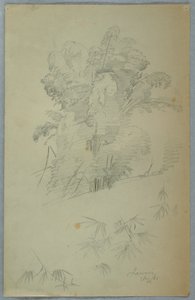Studier av trær og grener, Jamaica av Frederic Edwin Church
