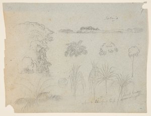 Studer med tretopper, trær, fem design av planter og en fjern øy av Frederic Edwin Church