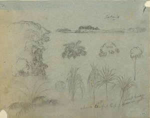 Studer med tretopper, trær, fem design av planter og en fjern øy av Frederic Edwin Church