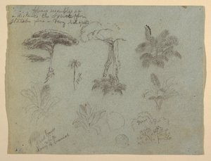 Trestudier sett fra Rio Magdalena, Colombia av Frederic Edwin Church