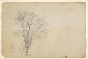 Trær av Frederic Edwin Church