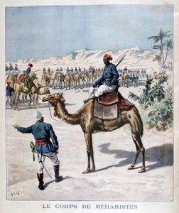 Meharistorgan, 1894