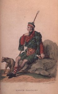 Scotch Shepherd fra Ackermanns World i miniatyr