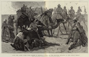 Med kamelkorpset fra Sarass til Dongola, et stopp for det monterte infanteriet i den nubiske ørkenen