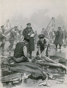 Får Caviare på Astrakhan av Frederic de Haenen