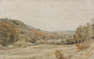 River Tamar, nær Endsleigh, Devon