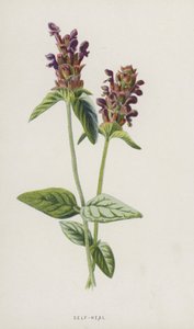 Selvhelbredelse (chromolitho) av Frederick Edward Hulme