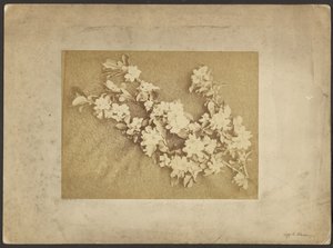  av Frederick H. Hollyer