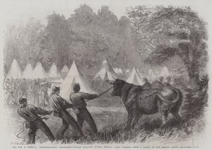 The War in America, Quartermaster