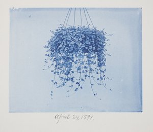 Uten tittel, 24. april