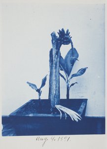 Uten tittel, 4. august