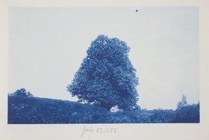 Uten tittel, 19. juli av Frederick K. Coulson