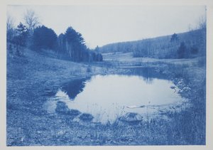 Uten tittel, sent på 1800-tallet – begynnelsen av 1900-tallet (cyanotype på kremvevet papir)