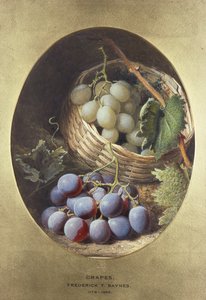 Røde og hvite druer av Frederick Thomas Baynes