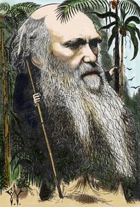 Charles DARWIN (1809-1882) karikatur av F. Waddy i "" in Once A Week" fra 1873.