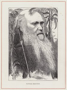 Charles Darwin, Naturlig utvalg